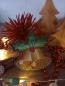Preview: Vollstickdatei Glocken mit Ilex